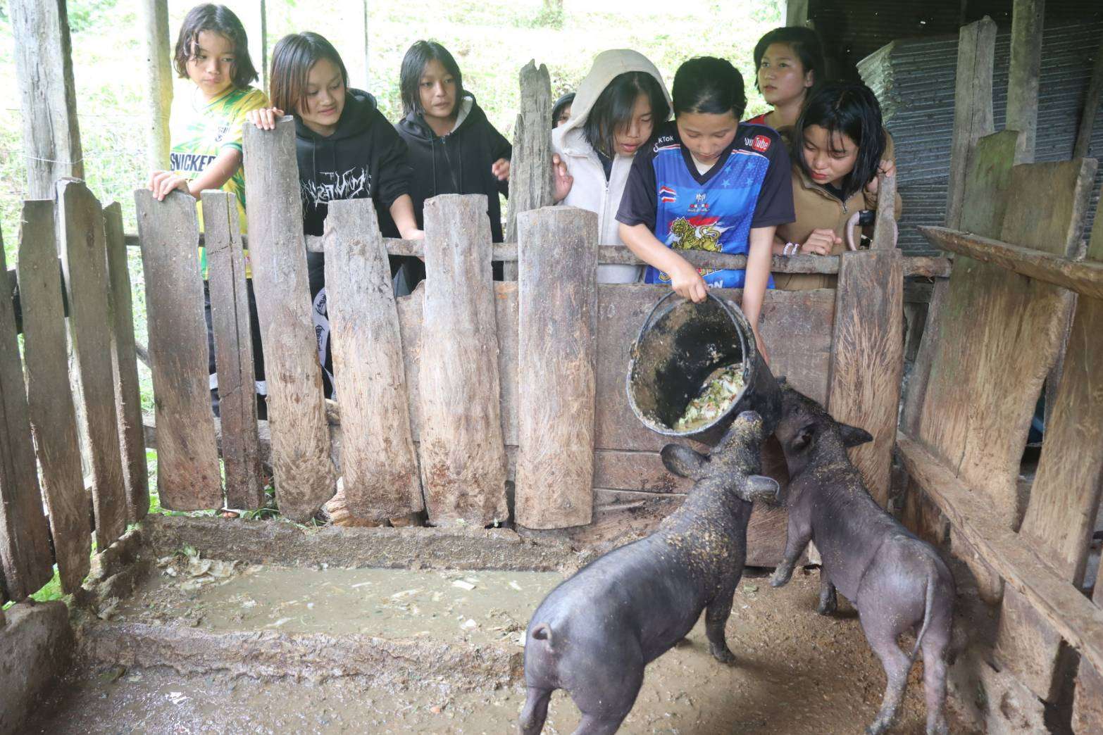 Empowering Livelihoods: Pig Farming Skills Development. | Compassion Causes